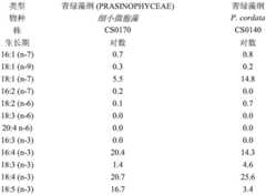 Figure BDA0003293367300000561