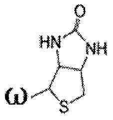 Figure imgf000461_0002
