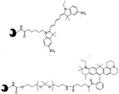 Figure imgf000463_0001