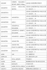 Figure BDA0001878096640000331