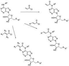 Figure imgf000045_0002