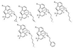 Figure 112020070700549-pct00033