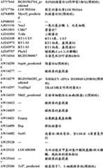 Figure BDA0000057170160001011