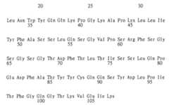 Figure 104119686-A0202-12-0213-100