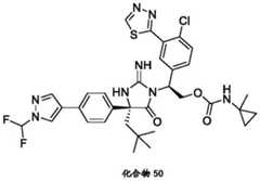 Figure BDA0002446516750001781