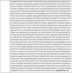 Figure imgf000052_0001