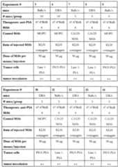 Figure imgf000029_0001