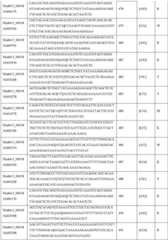 Figure DEST_PATH_IMAGE030