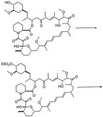 Figure imgf000029_0001