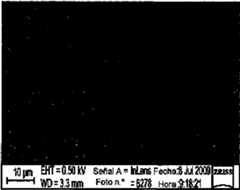 Figure imgf000078_0003