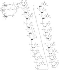 Figure US10793862-20201006-C00134