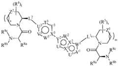 Figure imgf000061_0002