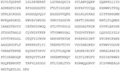 Figure GDA0003049252520001261