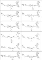 Figure PCTCN2022073822-appb-000366