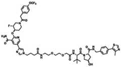 Figure BDA0002964098100002131