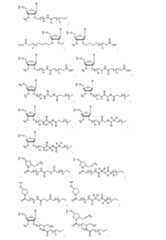 Figure 2023500681000169