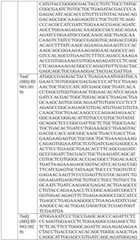 Figure BDA0004033970230005121