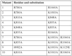 Figure imgf000624_0001