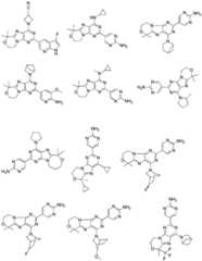 Figure FDA0002486010530000131