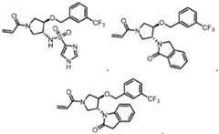Figure imgf000250_0001