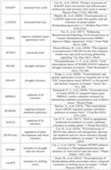 Figure PCTCN2022090268-appb-000103