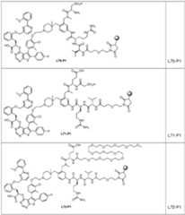Figure imgf000101_0001