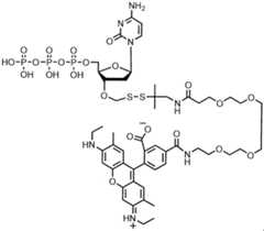 Figure imgf000249_0001