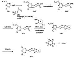 Figure JPOXMLDOC01-appb-C000153