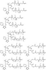 Figure BDA0002268634580001931