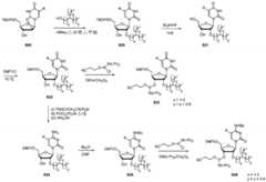 Figure BDA0003746740800002441