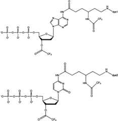 Figure FSA00000873704800032