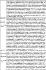 Figure imgf000164_0001