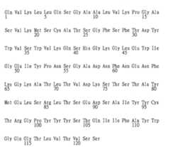 Figure TW201943729A_D0175