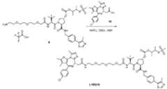 Figure imgf000513_0002