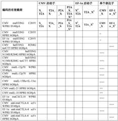 Figure GDA0004138988600002011