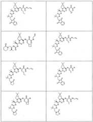 Figure imgf000276_0001