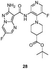 Figure BDA0001412716210005443