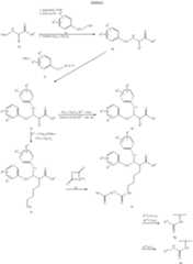 Figure US06310078-20011030-C00010