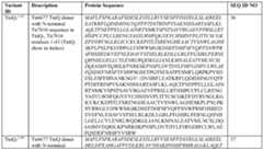 Figure imgf000081_0002