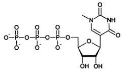 Figure imgf000089_0004