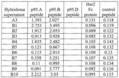Figure imgf000048_0001