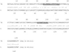 Figure BDA0004113341620000661