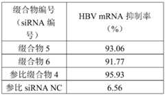 Figure PCTCN2022105340-appb-000053