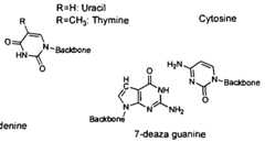Figure imgf000082_0003