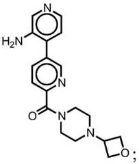 Figure BDA0001412716210003921