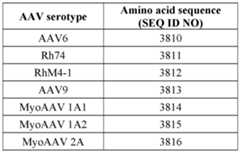 Figure imgf000218_0001