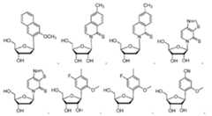 Figure imgf000047_0002