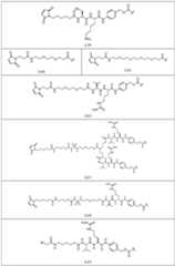 Figure imgf000246_0001