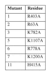 Figure imgf000621_0001