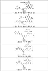 Figure BDA0002808063770002761